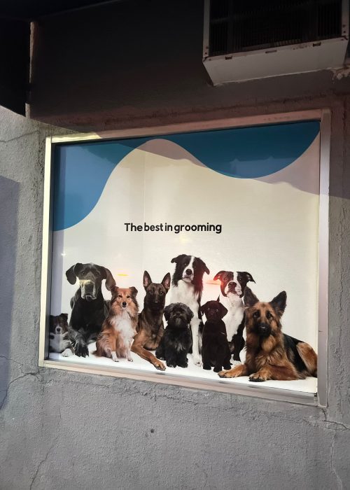 Stickers for companies and personalized (4)