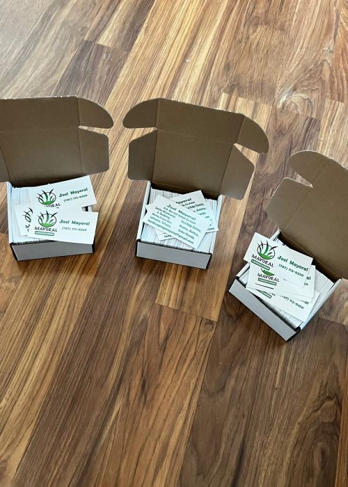 WhatsApp Image 2024-09-02 at 9.53.16 AM