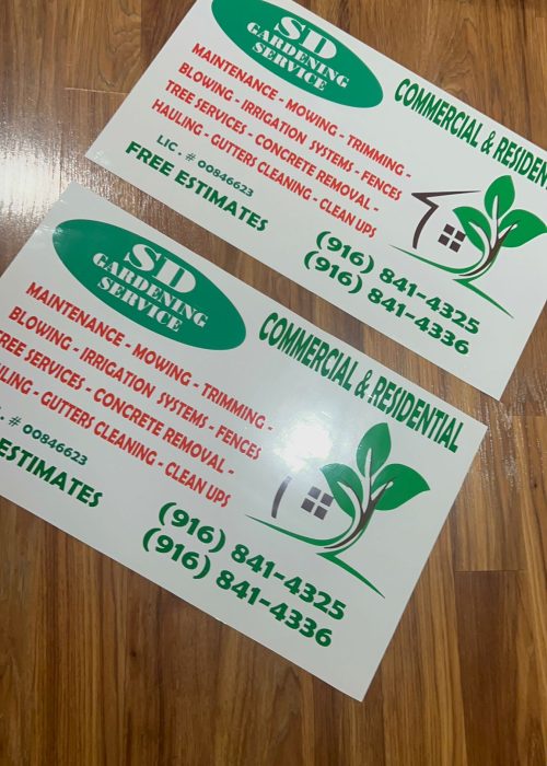 WhatsApp Image 2024-09-02 at 9.53.19 AM (2)