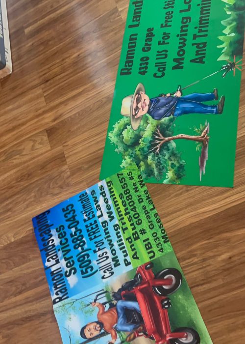 WhatsApp Image 2024-09-02 at 9.53.24 AM